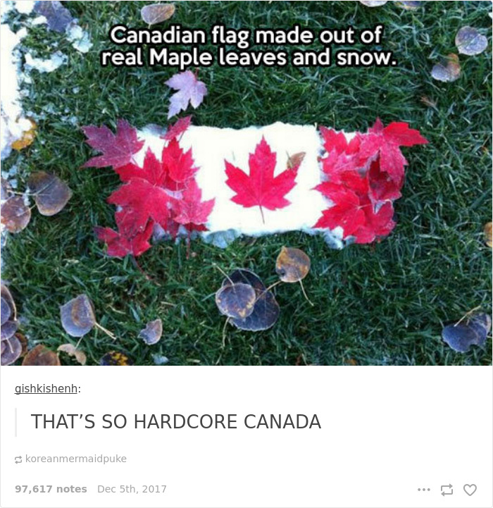 Funny-Canada-Jokes-Memes-Tumblr