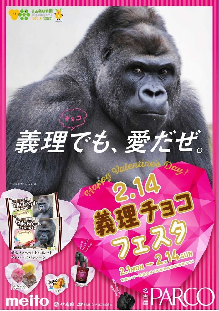 People Are Comparing This Ridiculously Photogenic Gorilla To George Clooney And We Can’t Handle It