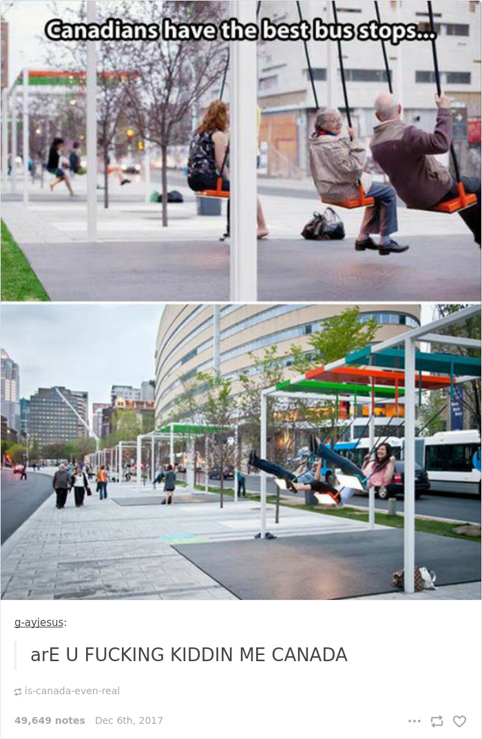 Funny-Canada-Jokes-Memes-Tumblr