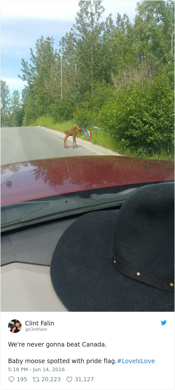 Funny-Canada-Jokes-Memes-Tumblr