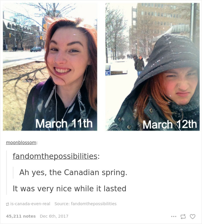 Funny-Canada-Jokes-Memes-Tumblr
