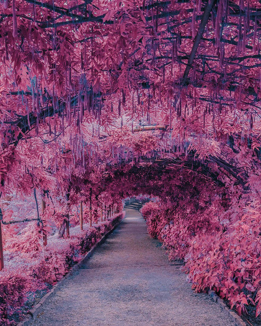 I Take Pictures That Look Like Japanese Anime