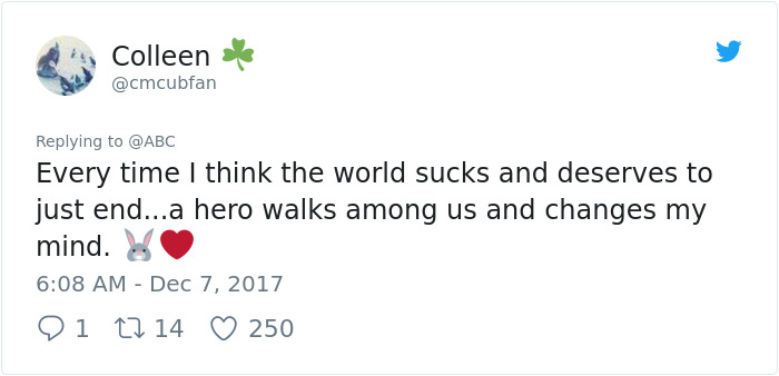 Watch This Anonymous Hero Saving A Bunny From Wildfire And Then Just Vanishing Into The Dark Watch This Anonymous Hero Saving A Bunny From Wildfire And Then Just Vanishing Into The Dark