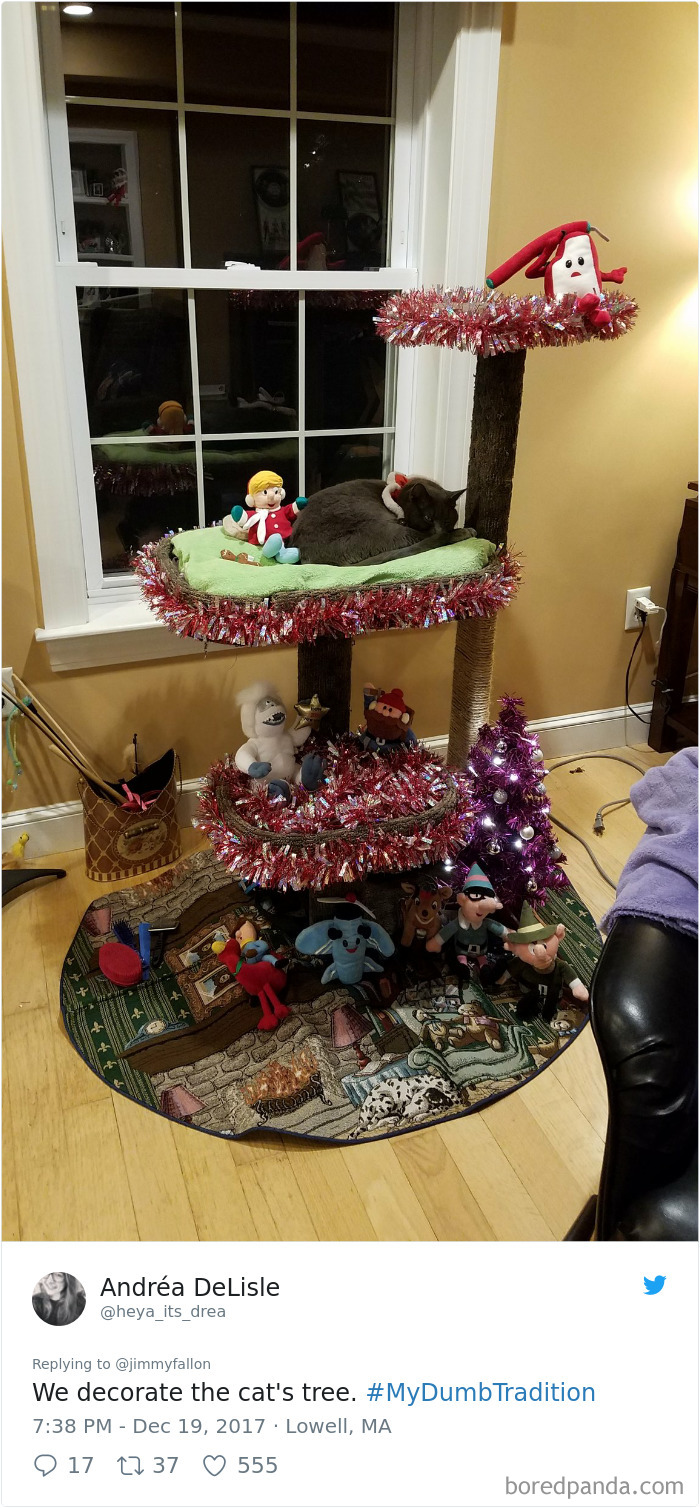 Funny-Dumb-Family-Tradition-Tweets-Jimmy-Fallon