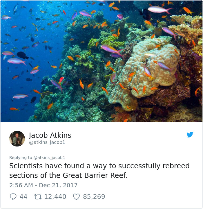 Man Tired Of All Negative News From 2017 Posts The Most Positive Things That Happened This Year Man Tired Of All Negative News From 2017 Posts The Most Positive Things That Happened This Year