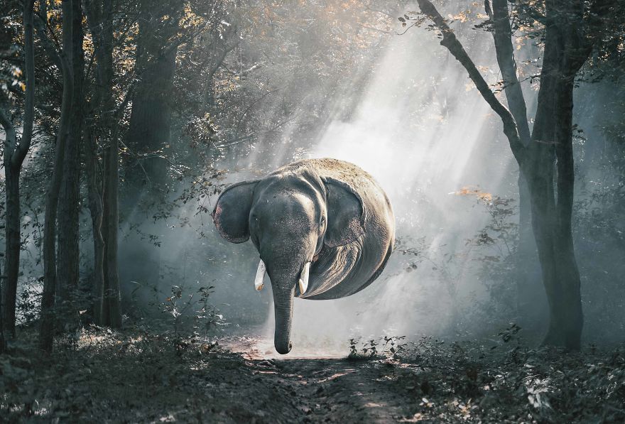 Ball-Shaped-Animals-Digital-Art-Aditya-Aryanto