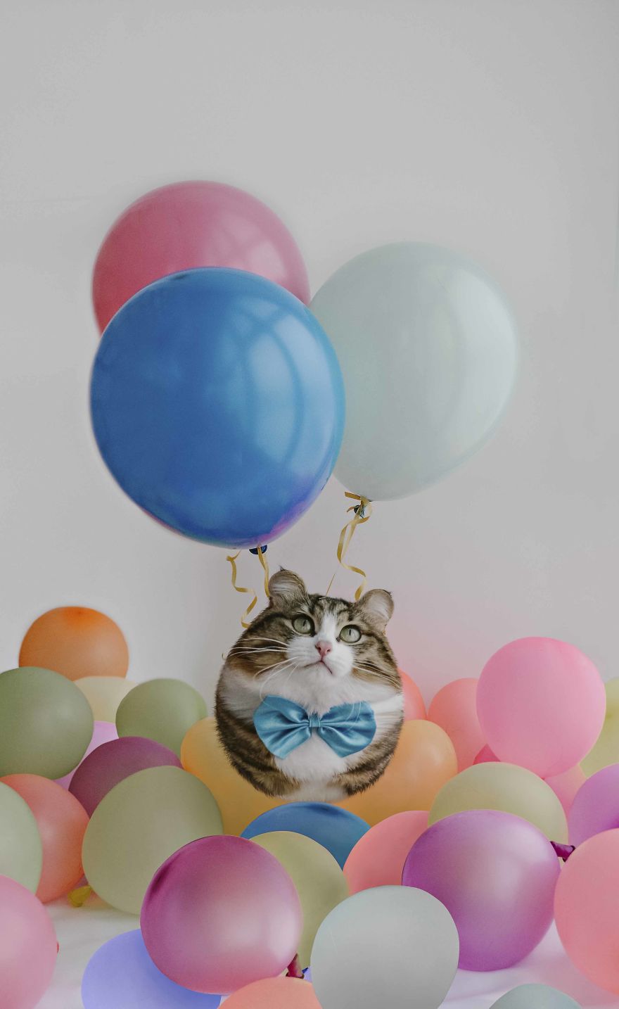 Ball-Shaped-Animals-Digital-Art-Aditya-Aryanto