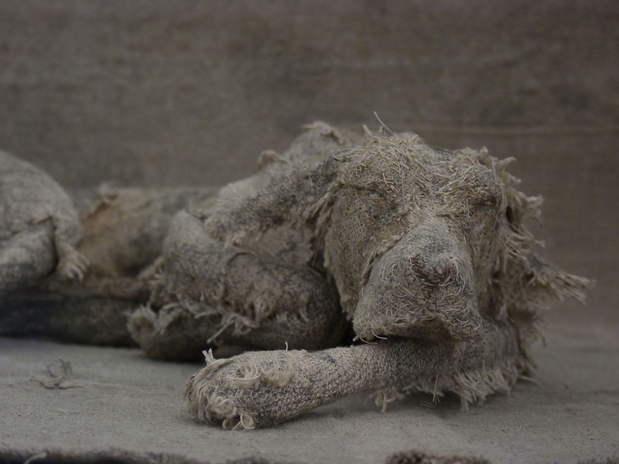 Artist Makes Sad Dogs With Old Clothes And The Result Is Incredible