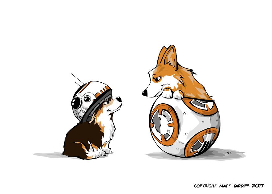 Corgi Bb8