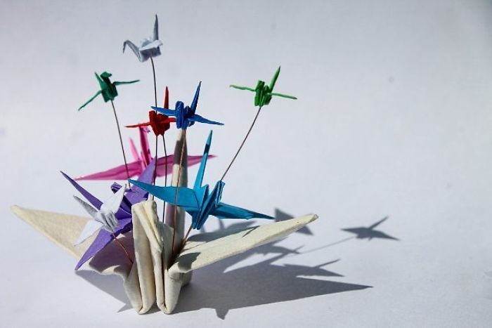 I Folded And Decorated An Origami Crane Every Day, For 1000 Days