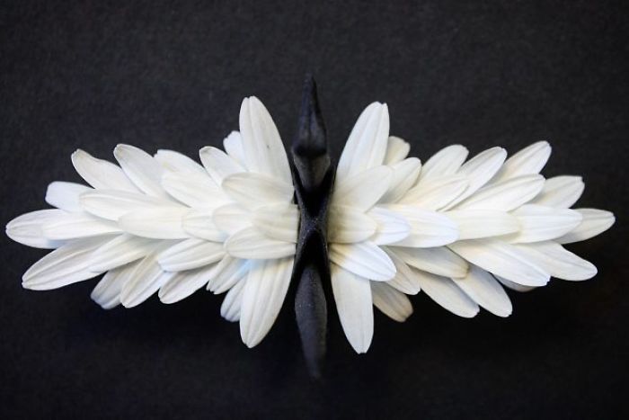 I Folded And Decorated An Origami Crane Every Day, For 1000 Days