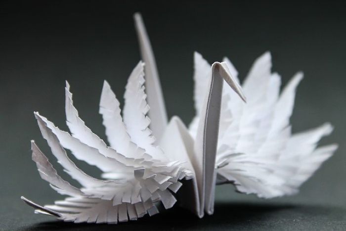I Folded And Decorated An Origami Crane Every Day, For 1000 Days
