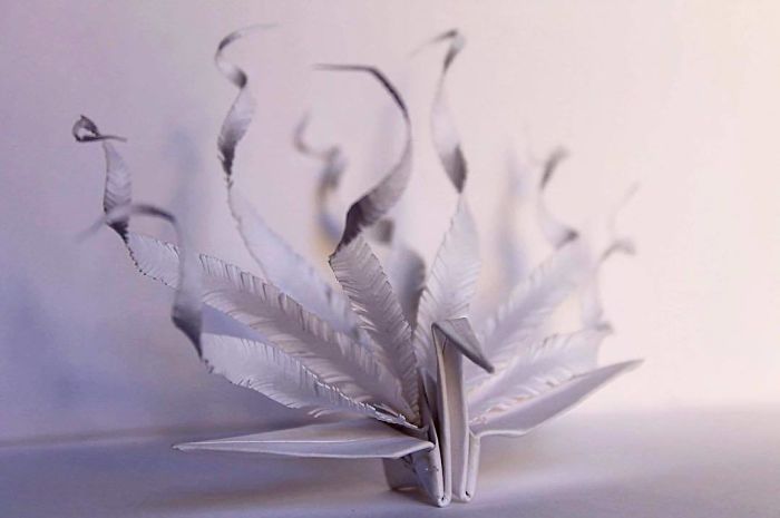 I Folded And Decorated An Origami Crane Every Day, For 1000 Days