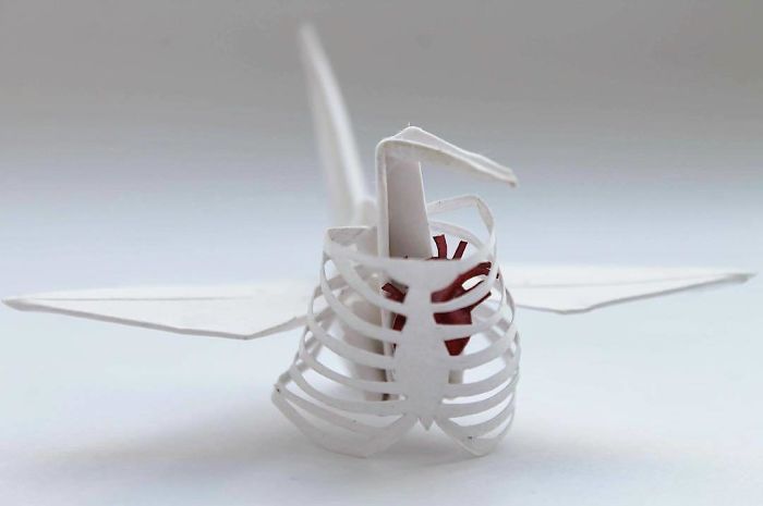 I Folded And Decorated An Origami Crane Every Day, For 1000 Days