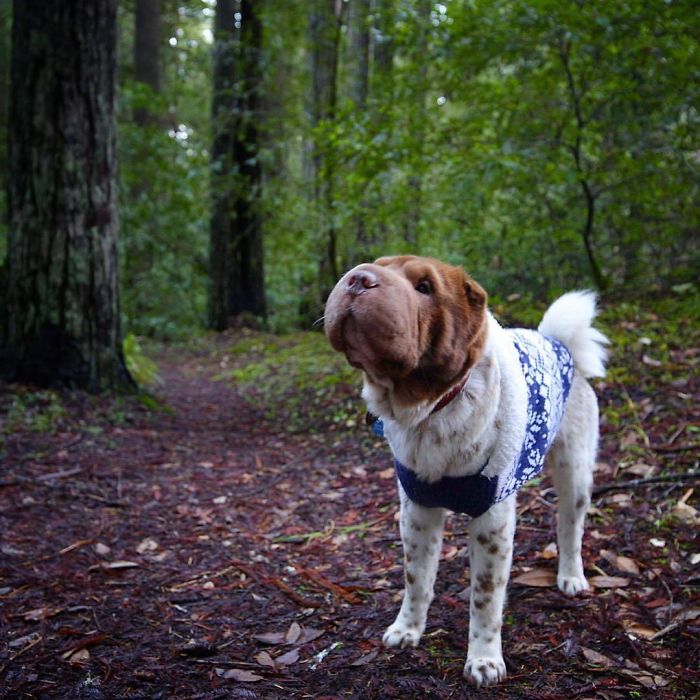 The Wilderness Doesn't Scare Me!