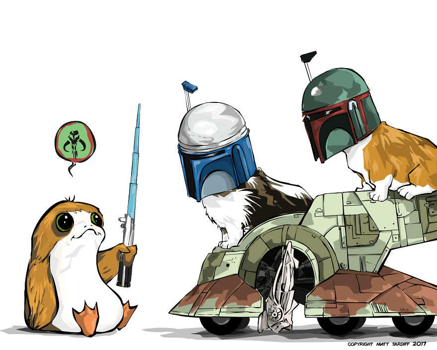 Halt My Mandalorian Friends