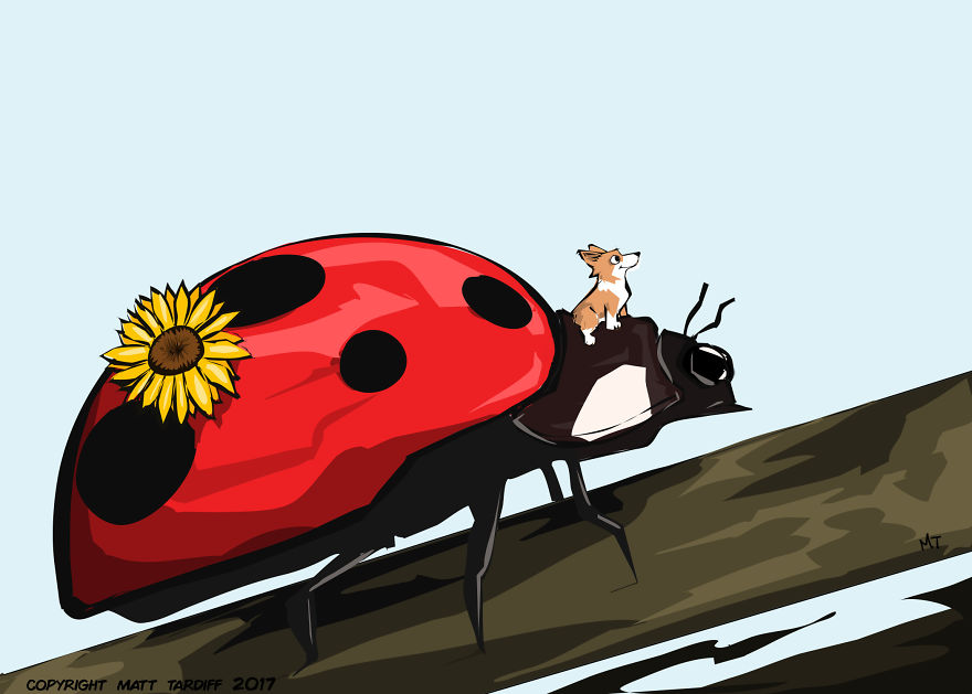 Onward Lady Bug.
