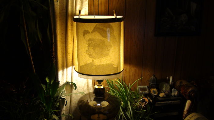 The Teddy Lamp