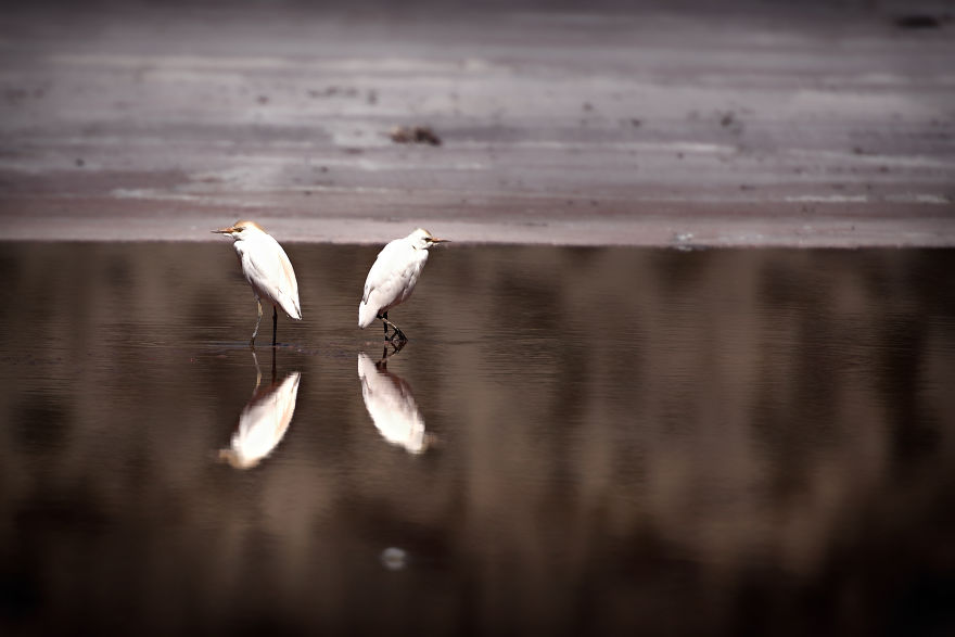 Uyuni Salt Flat And Surrounding Areas