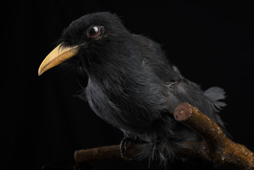 Museum Of Natural History La Paz, Bolivia
