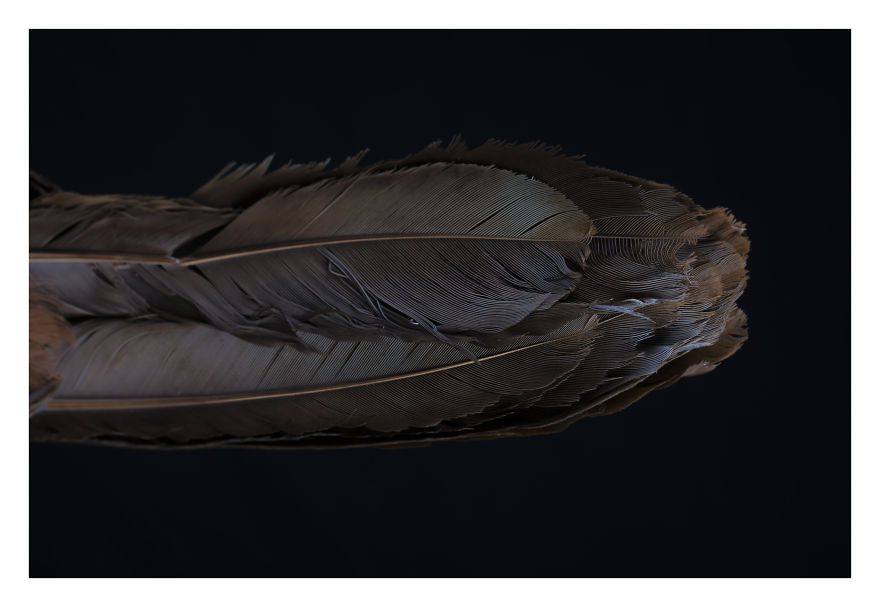 Museum Of Natural History La Paz, Bolivia