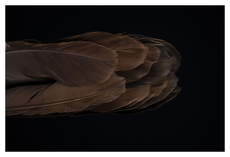 Museum Of Natural History La Paz, Bolivia