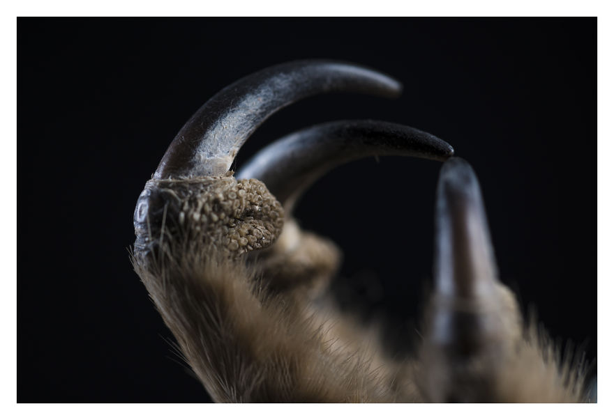 Museum Of Natural History La Paz, Bolivia