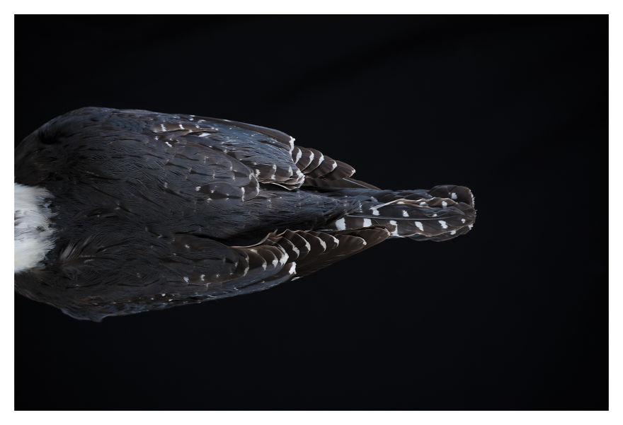 Museum Of Natural History La Paz, Bolivia