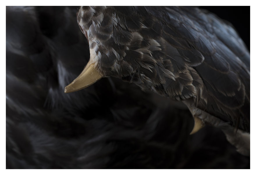 Museum Of Natural History La Paz, Bolivia