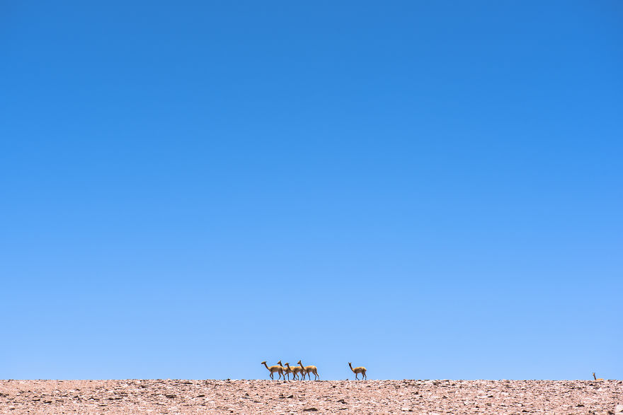Uyuni Salt Flat And Surrounding Areas