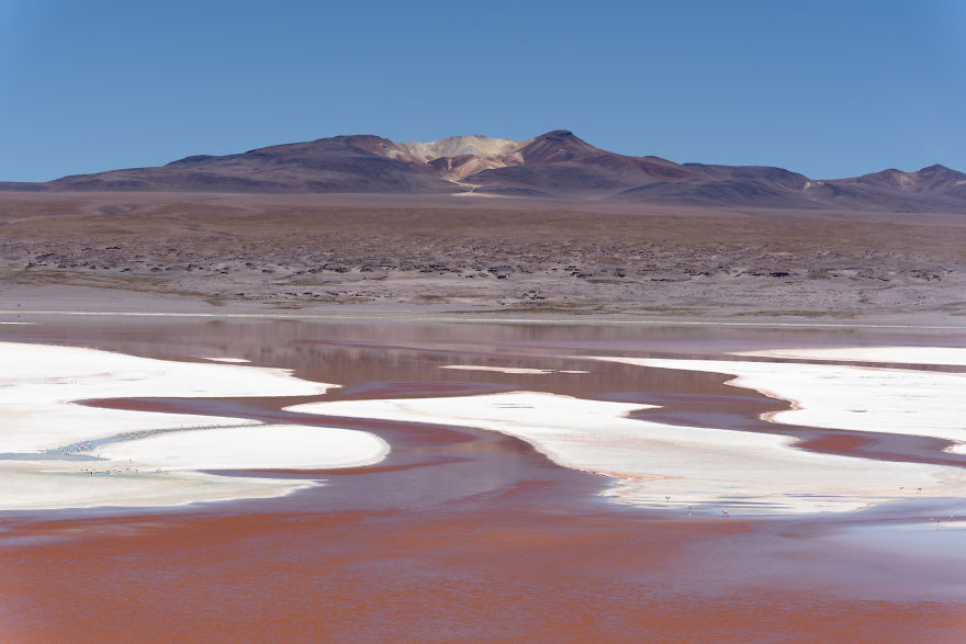 Uyuni Salt Flat And Surrounding Areas