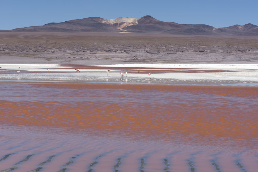 Uyuni Salt Flat And Surrounding Areas