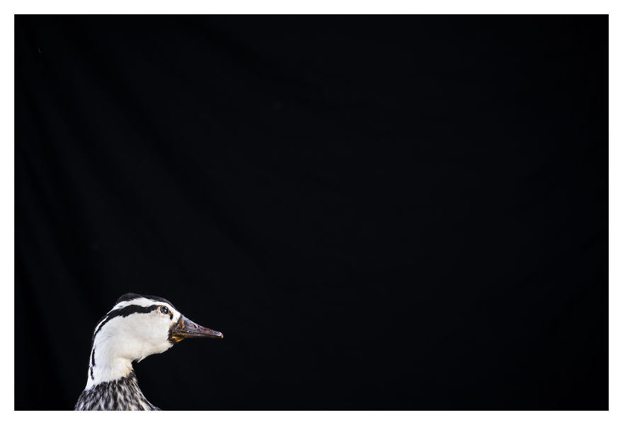 Museum Of Natural History La Paz, Bolivia