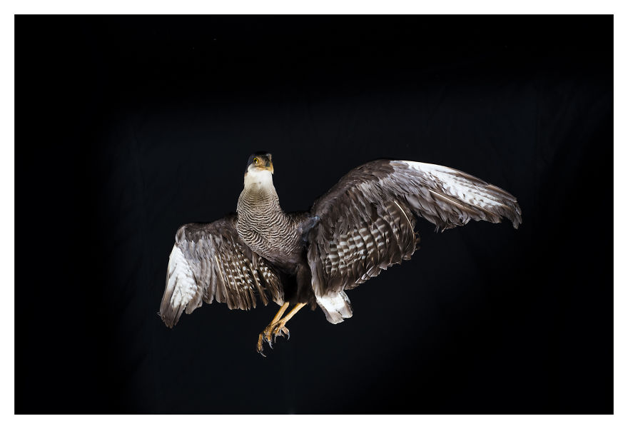 Museum Of Natural History La Paz, Bolivia