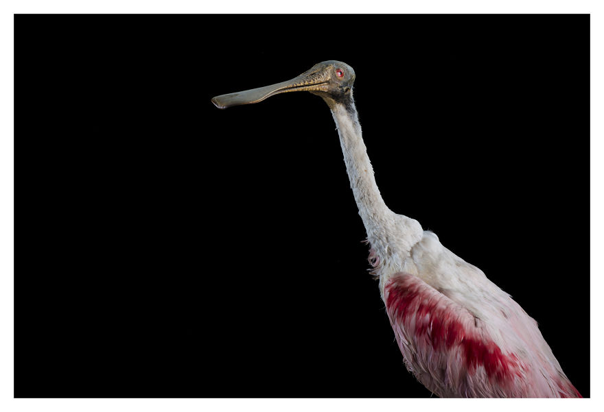 Museum Of Natural History La Paz, Bolivia
