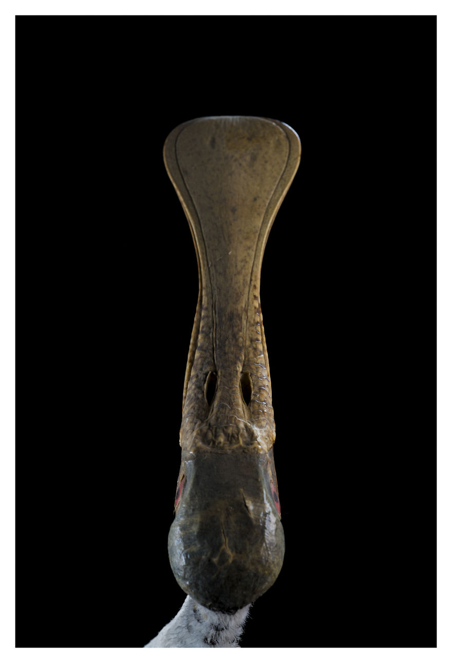 Museum Of Natural History La Paz, Bolivia