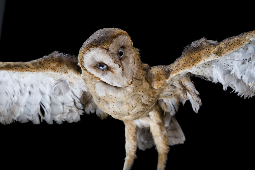 Museum Of Natural History La Paz, Bolivia