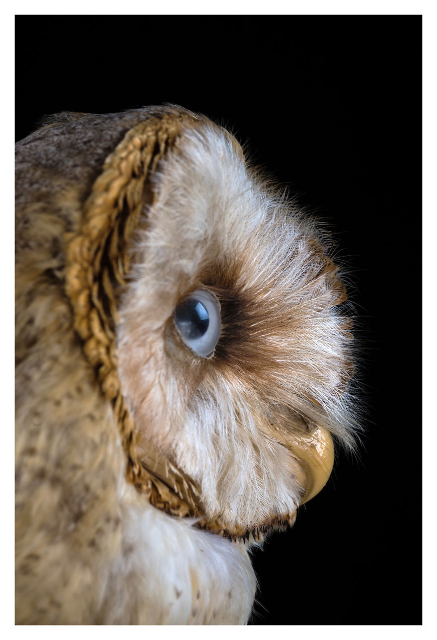 Museum Of Natural History La Paz, Bolivia