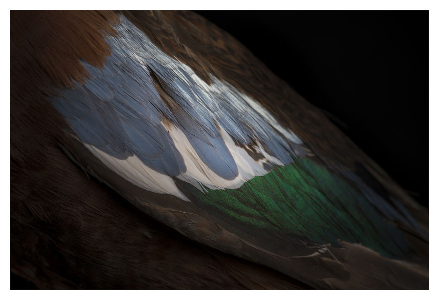 Museum Of Natural History La Paz, Bolivia