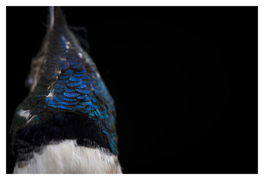 Museum Of Natural History La Paz, Bolivia