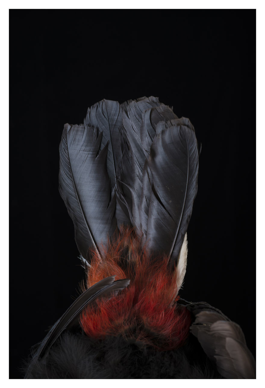 Museum Of Natural History La Paz, Bolivia