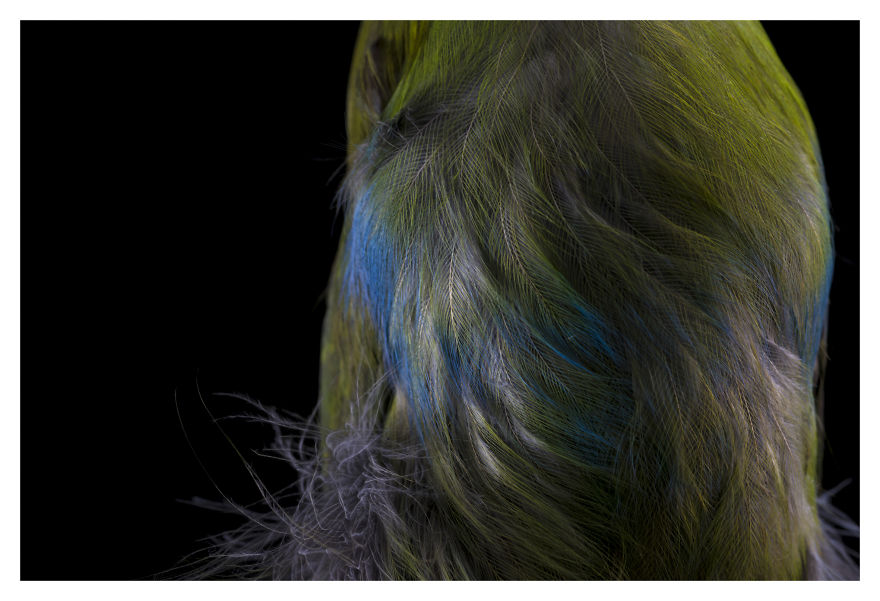 Museum Of Natural History La Paz, Bolivia