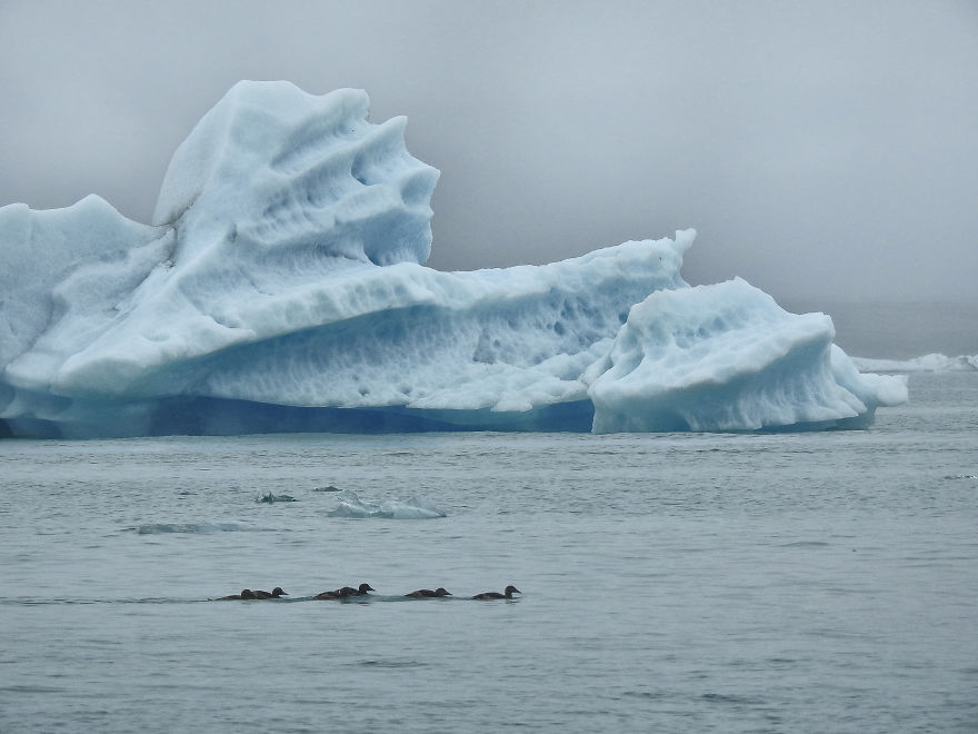 Sol Muñoz & Sebastian Ormachea Photography