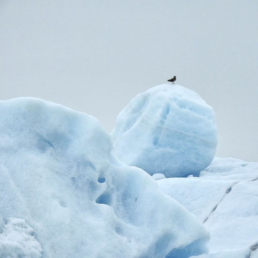 Sol Muñoz & Sebastian Ormachea Photography