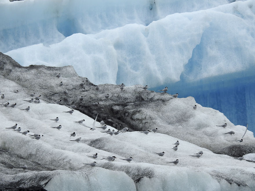 Sol Muñoz & Sebastian Ormachea Photography