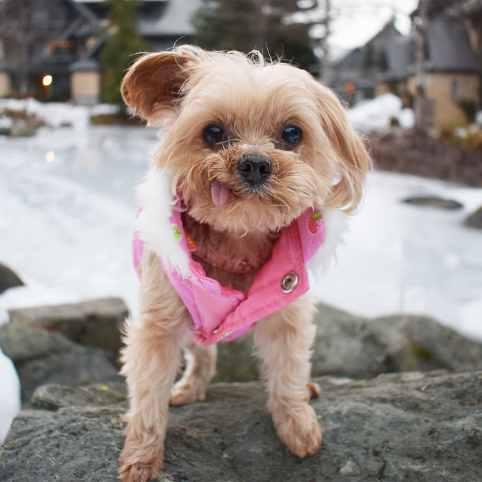 I Thought I Wound Find Elsa Here...