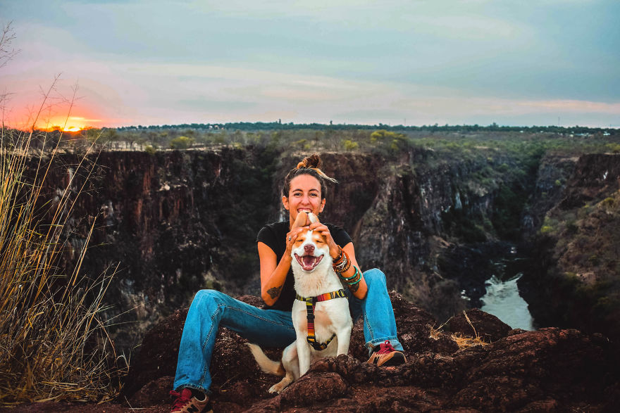 Gingy Mou, The Zambian Rescued Dog, Arrives To Barcelona After A Year Of Traveling Through Africa
