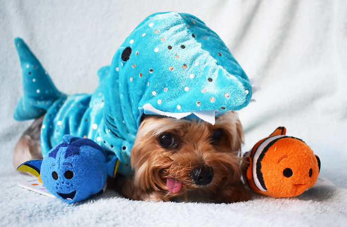 Fish Are Friends Not Food!