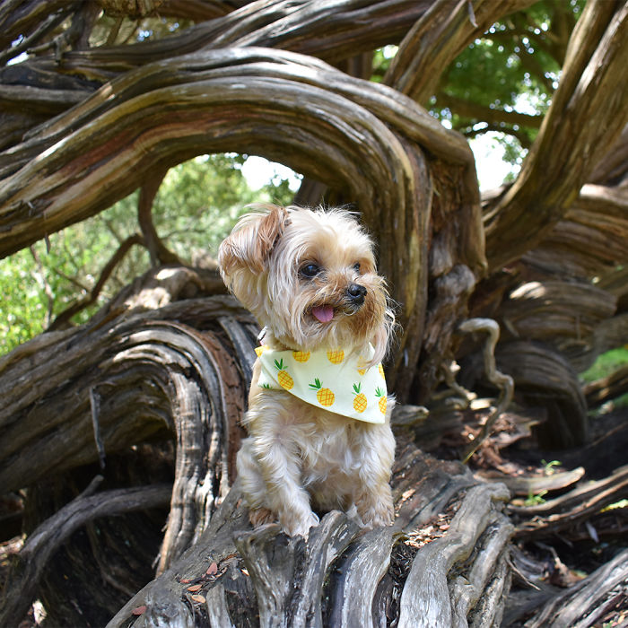 This Is My Happy Place