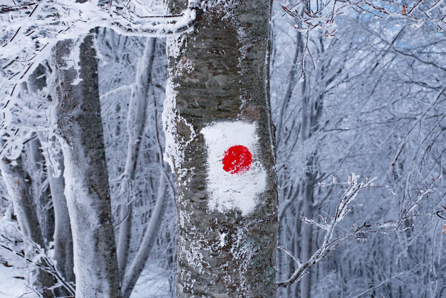 I Shot The First Snow On Mt Pelion